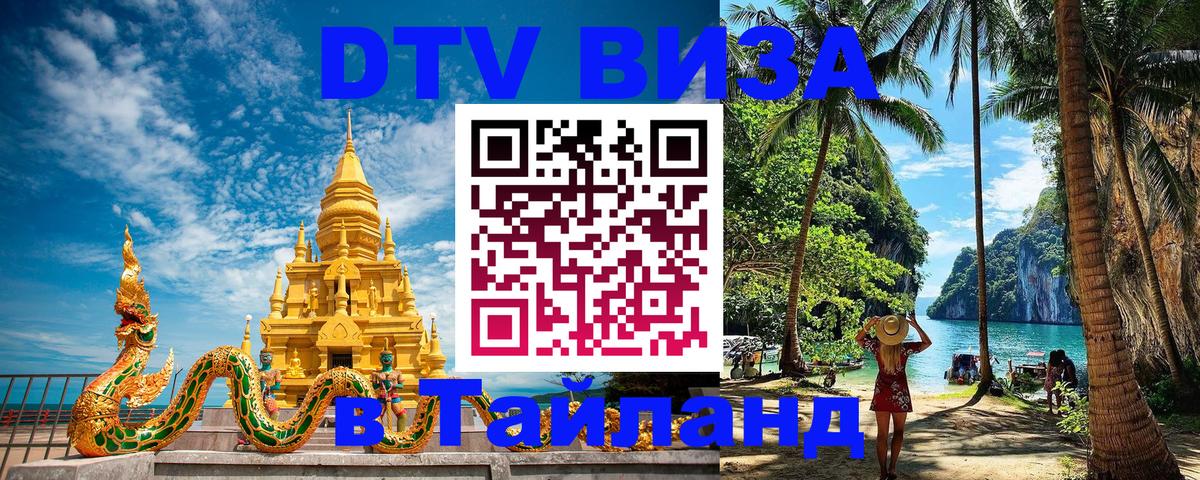 Сколько стоит DTV виза — актуальные цены, оформление даже без документов - Великий Новгород  03.10.2025 